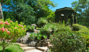 Jardim Botânico no Rio de Janeiro.