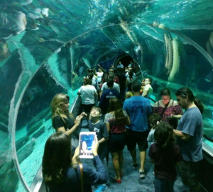Attraction at Aquario
